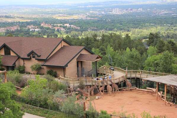 A building with a sloped roof and a fenced enclosure with giraffes.