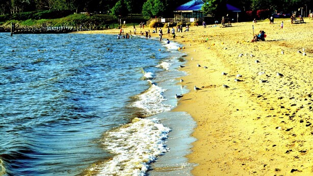 Una playa con arena, una masa de agua y algunas personas.