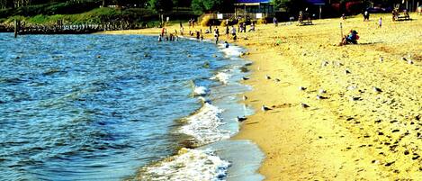Serviettes de plage