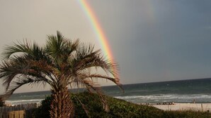 Una playa con una palmera y un arcoíris en el cielo.