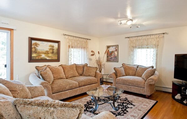 Smart TV, fireplace, books