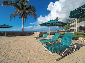 A beachside lounge area with green lounge chairs and umbrellas, a palm tree, and a view of the ocean.