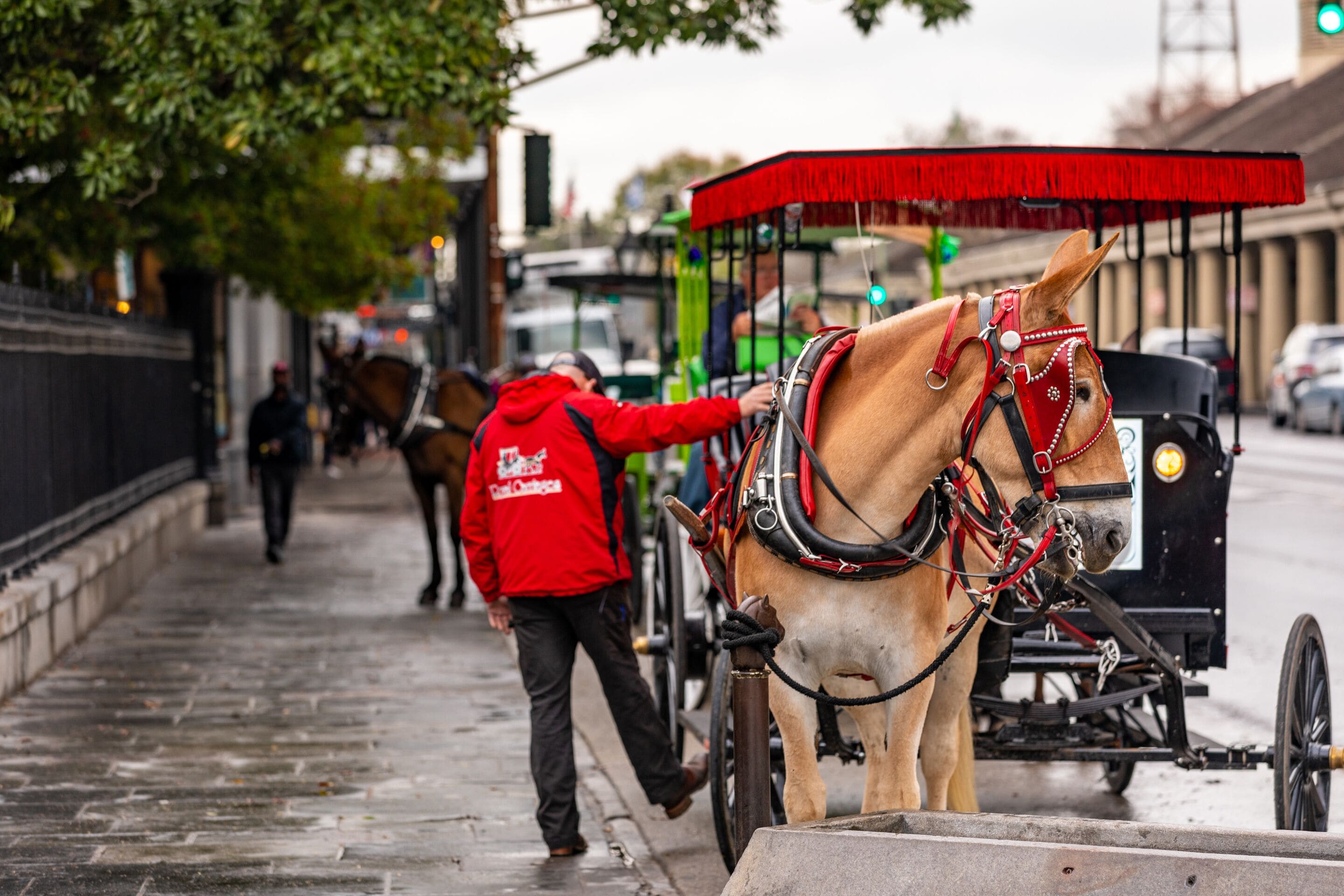 Foto - Hotel de la Monnaie, French Quarter