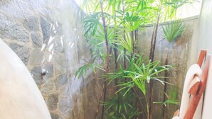 Un espace douche avec un mur en pierre, une pomme de douche en bois et une petite plante qui pousse dans un coin.