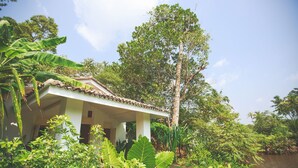 Une maison entourée d’une végétation luxuriante et bordée par une rivière.