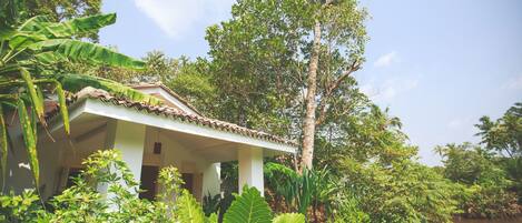A house surrounded by lush greenery and a river.