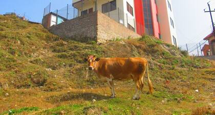 Sunrise Homestay Nepal