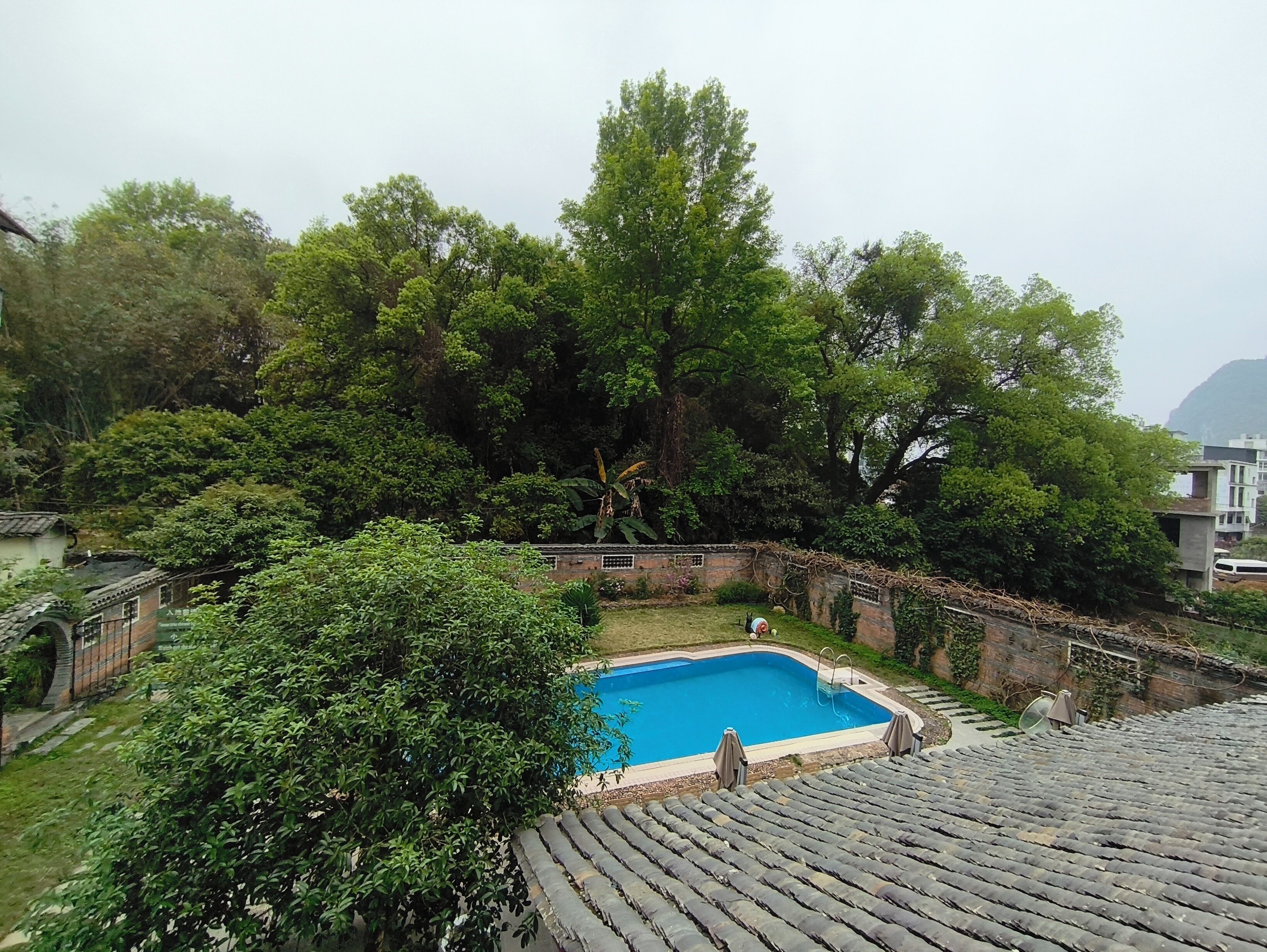 A swimming pool surrounded by lush greenery and a traditional tiled roof.