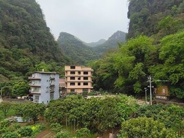 Vista desde la habitación