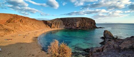 Ranta lähistöllä, rantapyyhkeitä