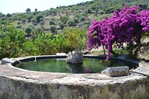 Une fontaine circulaire en pierre, ornée d’une statue centrale, et entourée d’une végétation luxuriante et de fleurs de bougainvillier aux couleurs violettes.