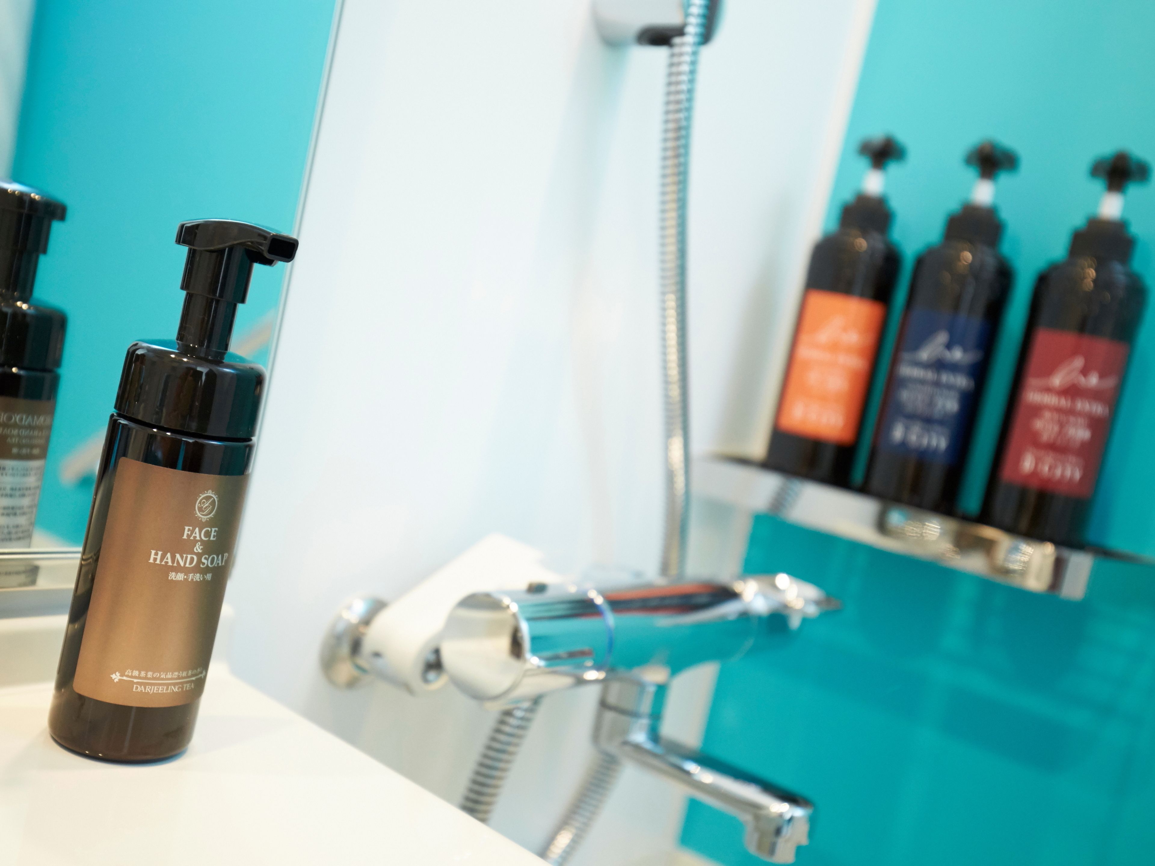 combined shower/bathtub, free toiletries, hair dryer, slippers