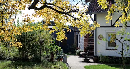 Appartement avec une grande terrasse