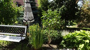 Un jardin avec un banc, un parasol à motifs et différentes plantes.