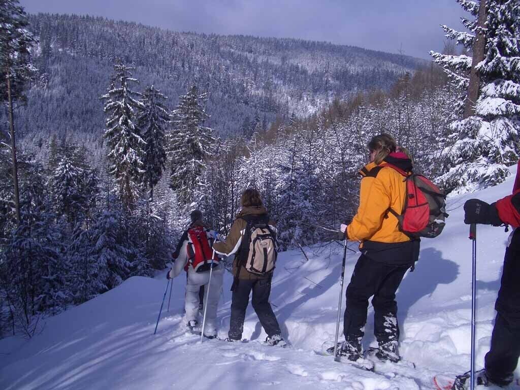 Snø- og skisport