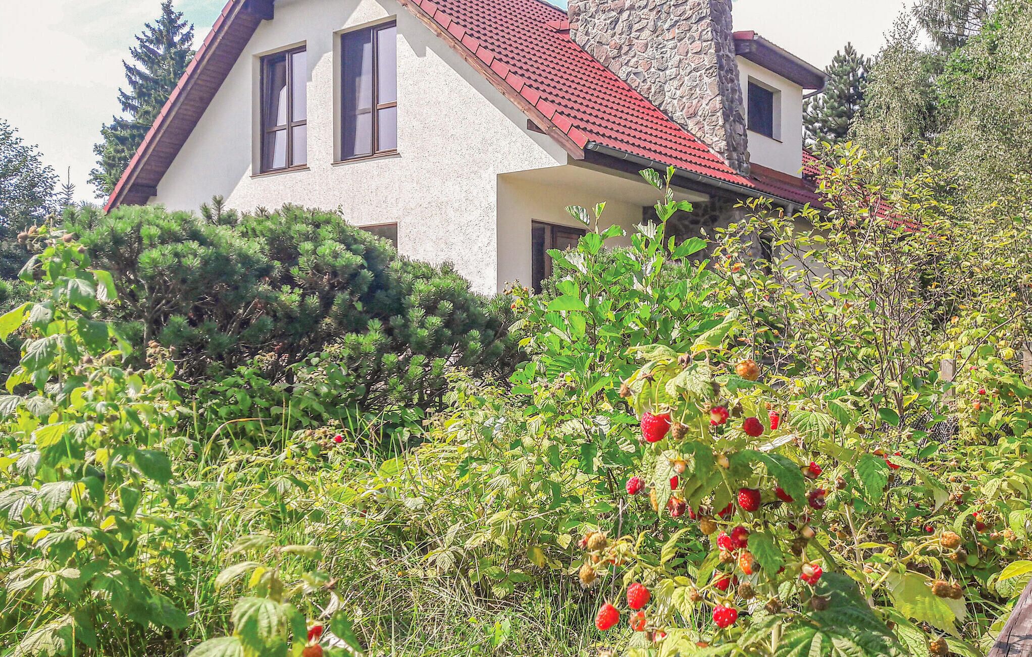 Detalle del exterior