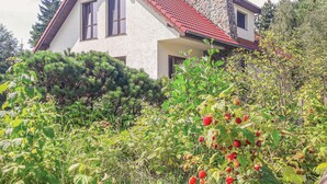 Una casa de dos pisos con tejado de tejas rojas y fachada de piedra, rodeada de abundante vegetación y plantas de fresa.