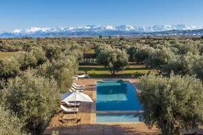 Pool - Villa Kristy (7 rooms + private pool) (Marrakesh)