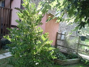 Un jardín con diversas plantas y una cerca de madera.