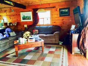 Fernseher, Kamin, DVD-Player, Bücher