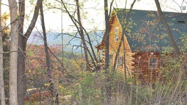 A rustic log cabin surrounded by trees and foliage. - Spectacular Views, Swimming Pool, Hot Tub, Real Log Fires, Mountain Getaway (Rileyville)