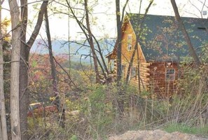 Eine rustikale Holzhütte, umgeben von Bäumen und Grün.