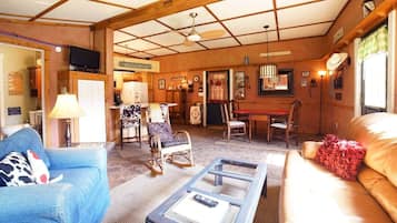TV, caminetto, lettore DVD, libri