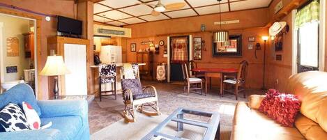 Televisión, chimenea, reproductor de DVD y libros