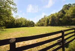 Property grounds - Tack House Private Retreat fully stocked (Pendleton)