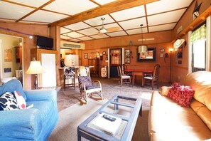 TV, fireplace, DVD player, books