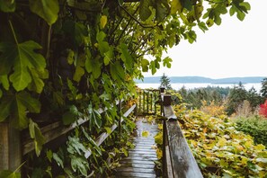 A wooden pathway surrounded by lush greenery leading to a scenic overlook. - Morningside Garden Suite
FLASH SALE- CHECK OUT OUR WINTER GET AWAY SPECIAL (Salt Spring Island)