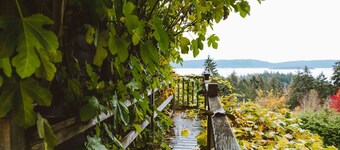 Morningside Garden Suite 
FLASH SALE- CHECK OUT OUR WINTER GET AWAY SPECIAL