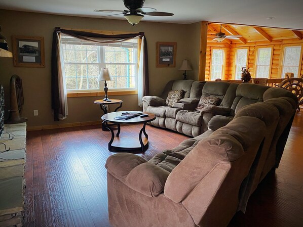 Télévision, cheminée, lecteur de DVD, livres