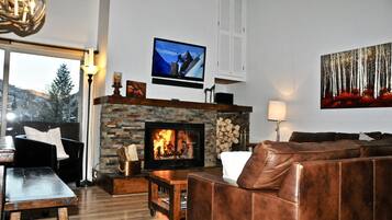 TV, fireplace, DVD player, books