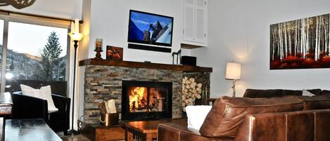 TV, fireplace, DVD player, books