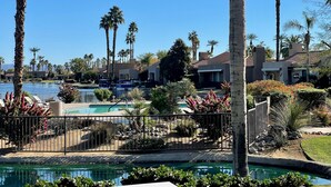 A pool area with palm trees, a clear blue sky, and a view of buildings in the background.