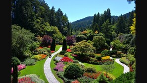 Property grounds - Cozy and modern 3 bedroom In central location!!  (Victoria)