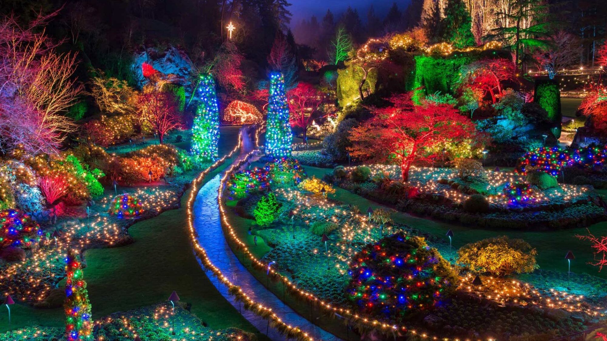A garden with a winding path and illuminated trees.