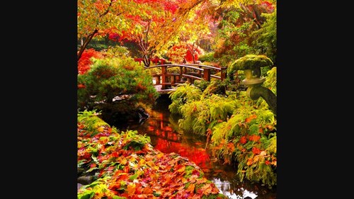 Cozy and modern 3 bedroom In central location!! 