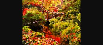 Cozy and modern 3 bedroom In central location!! 