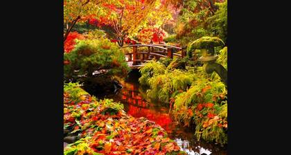 Cozy and modern 3 bedroom In central location!!