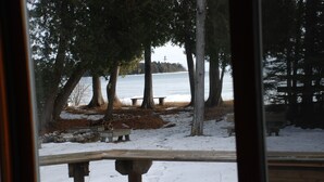 A snowy beach with benches and trees.