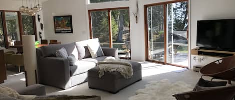 Smart TV, fireplace, DVD player, books