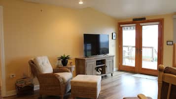 Smart TV, fireplace, DVD player, books