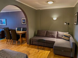 TV, video library - Spacious One-Bedroom Apartment (Eyrarbakki)