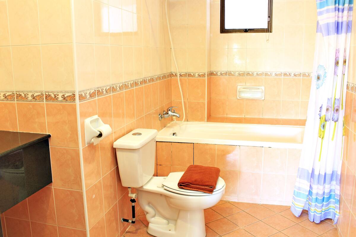 A bathroom with a toilet, a bathtub, and a shower curtain.