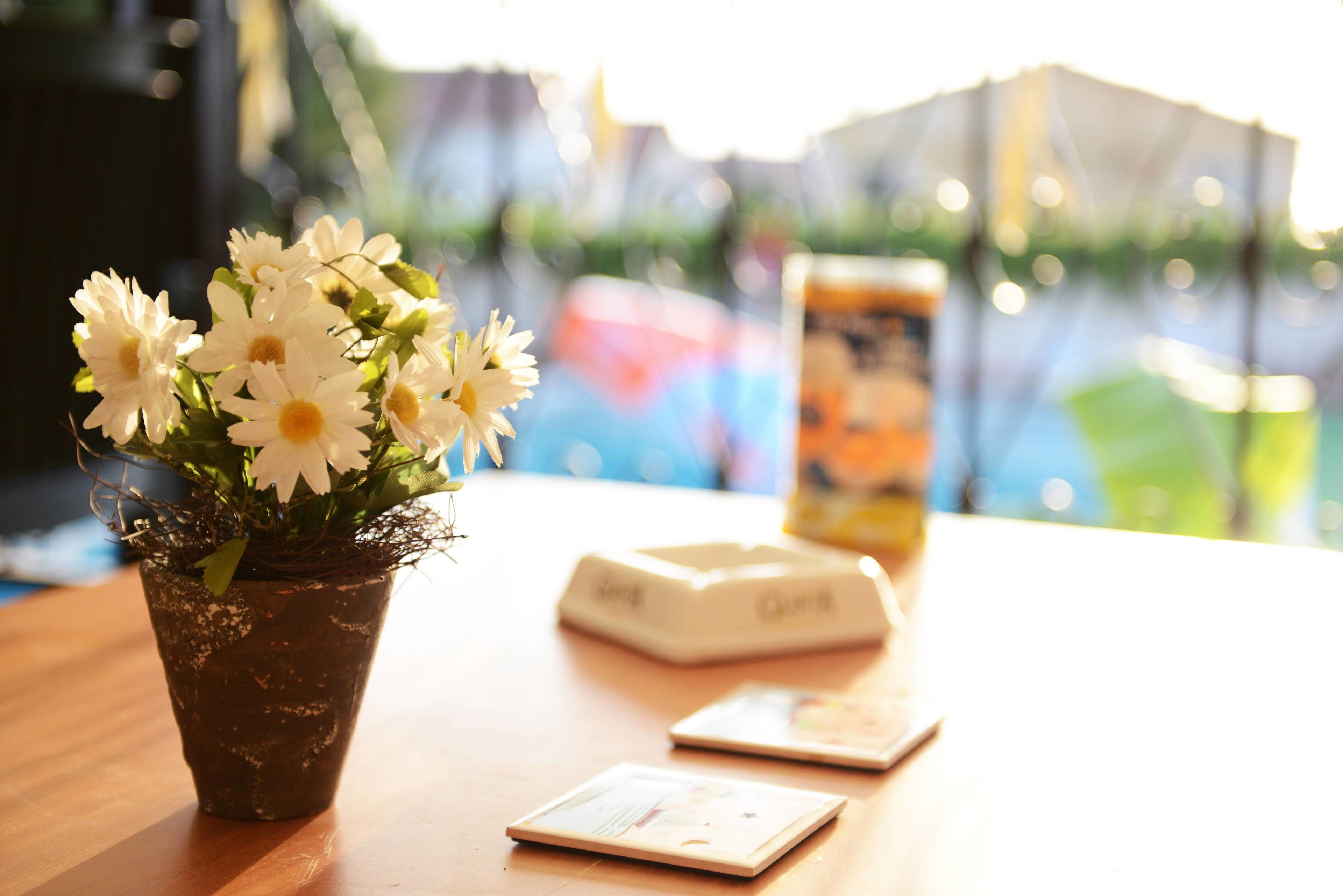 A small potted plant with white flowers on a wooden table.