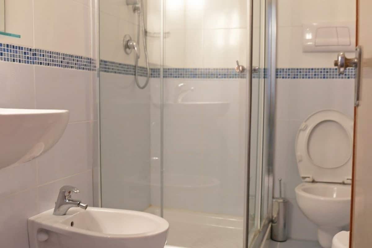 Shower, free toiletries, hair dryer