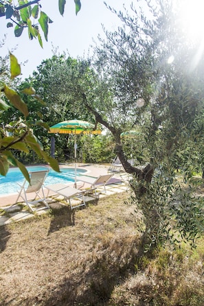 Exterior - Podere Risoino (Poggibonsi)