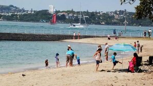 A beach with people, a sailboat, and a cityscape in the background. - Andelin Guest House (Auckland)